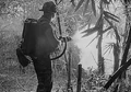 M2 Flamethrower.jpg