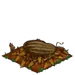 Super Watermelon withered