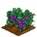 Super Grape 100