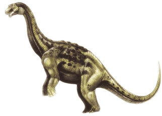 Aeolosaurus2