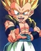 Gotenks super