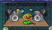 Sunflower at credits