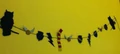 Banner.jpg