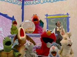 Pets song