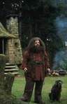 Hagrid l.jpg