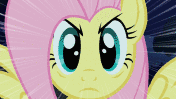 Fluttershystare