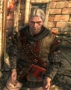 Tw2 screenshot armor tirnalia
