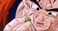 Future Gohan 003