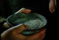 Floopowder 1444570a.jpg