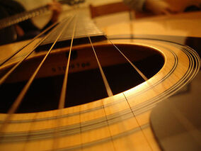 Guitar