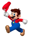 MarioHat