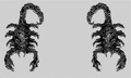 Thumbnail for version as of 04:33, August 1, 2011
