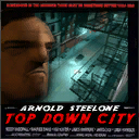 TopDownCity