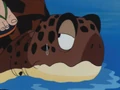 TurtleFisher