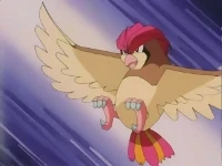 EP174 Pidgeotto