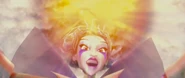 ~Mandragora~