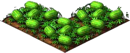 Watermelon5.png