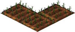 Wheat2.png