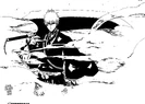 Ichigo Shnigami