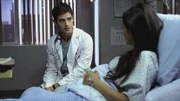 PLL208-00697
