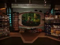 STTE-Promenade shop viewer.jpg