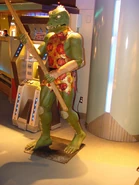 STTE-Gorn