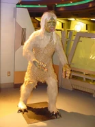 STTE-M-113 creature