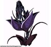 Alraune