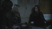 PLL116-0724