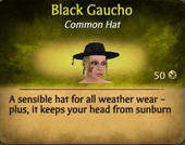 FGaucho