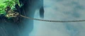 ThreadOfHope3.jpg