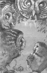 Artwork jp bk 8