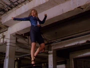 Phoebelevitation5