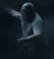 Géant 3.jpg