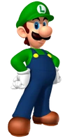 LuigiMarioPartyDS
