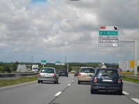 N137 (41)