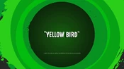 Yellow Bird