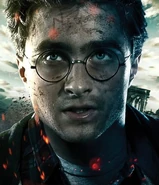 DH2 IAE Harry