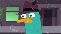Sad Perry I Walk Away