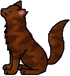 20111114223906%21Raggedstar.warrior.png
