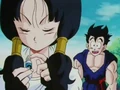 VidelAndGohan 4