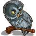 Gray Owl-icon.png