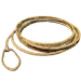 Item lasso 01.png