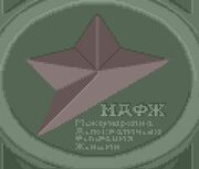 Kazakh Half-star
