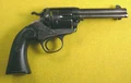 Colt bron.jpg