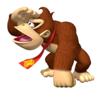 DonkeyPartyDS