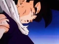 DragonBallZMovie 8