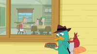 482px-Perrysad.png
