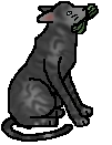20111216180359%21Jayfeather.mca.png