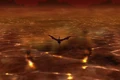 Burning Plains.jpg